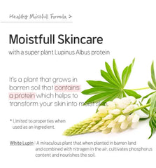 ETUDE Moistfull Collagen Cream 75ml Etude House