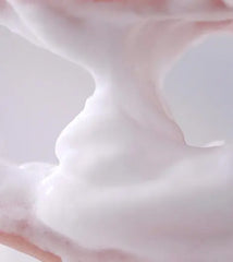 Pyunkang Yul Low pH Pore Deep Cleansing Foam 100ml Pyunkang Yul