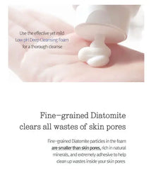 Pyunkang Yul Low pH Pore Deep Cleansing Foam 100ml Pyunkang Yul