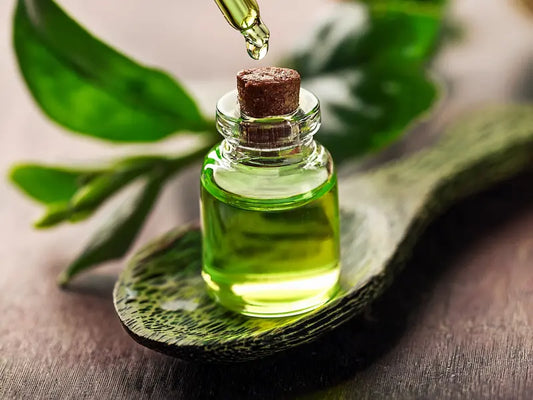 Green-Tea-Extract-The-Antioxidant-Powerhouse STYLEMITE SHOP