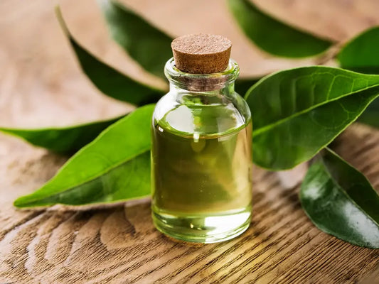 Tea-Tree-Oil-The-Natural-Solution-for-Blemish-Free-Skin STYLEMITE SHOP